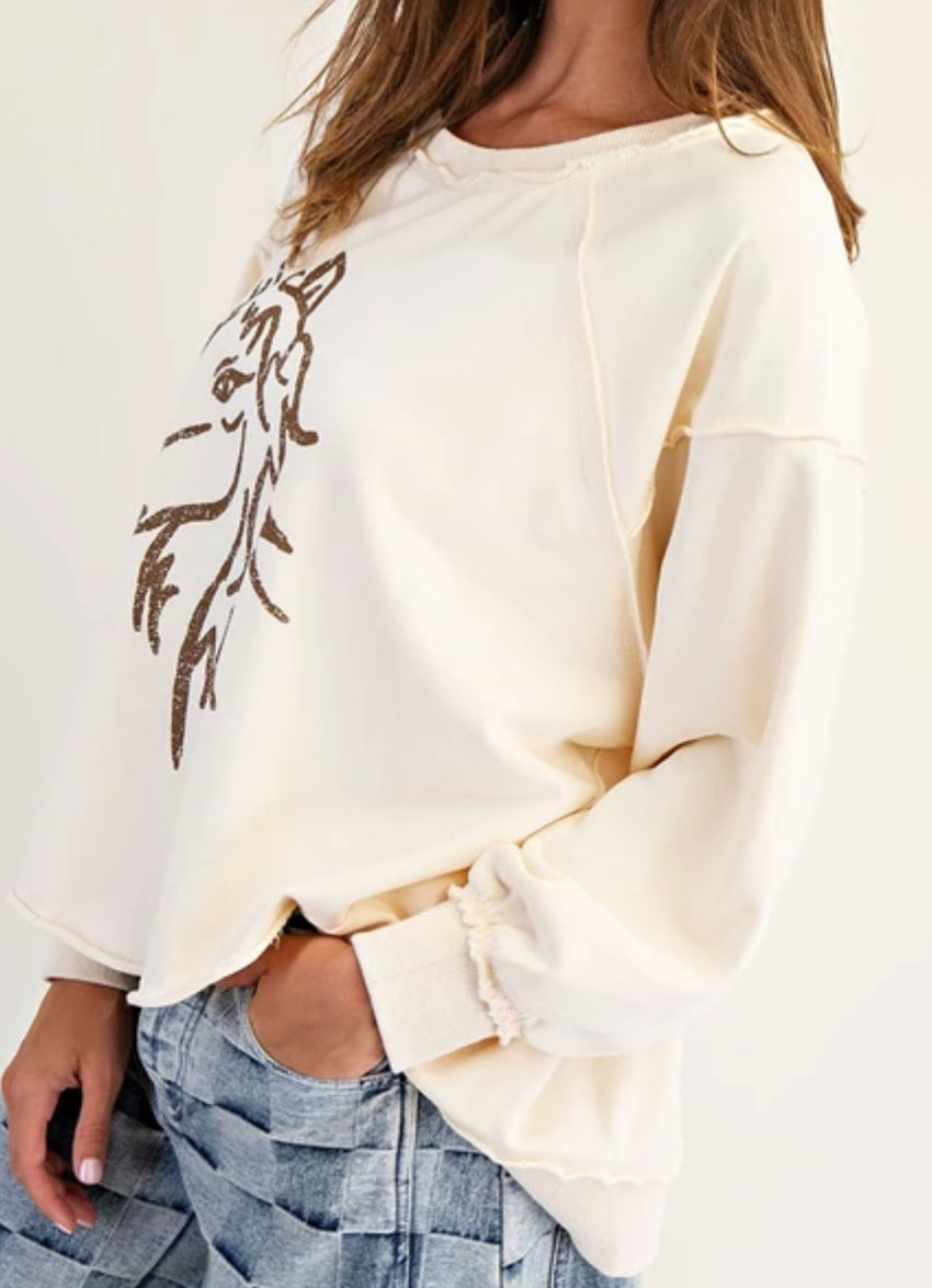 z Horse Graphic Dropped Shoulder Sweatshirt