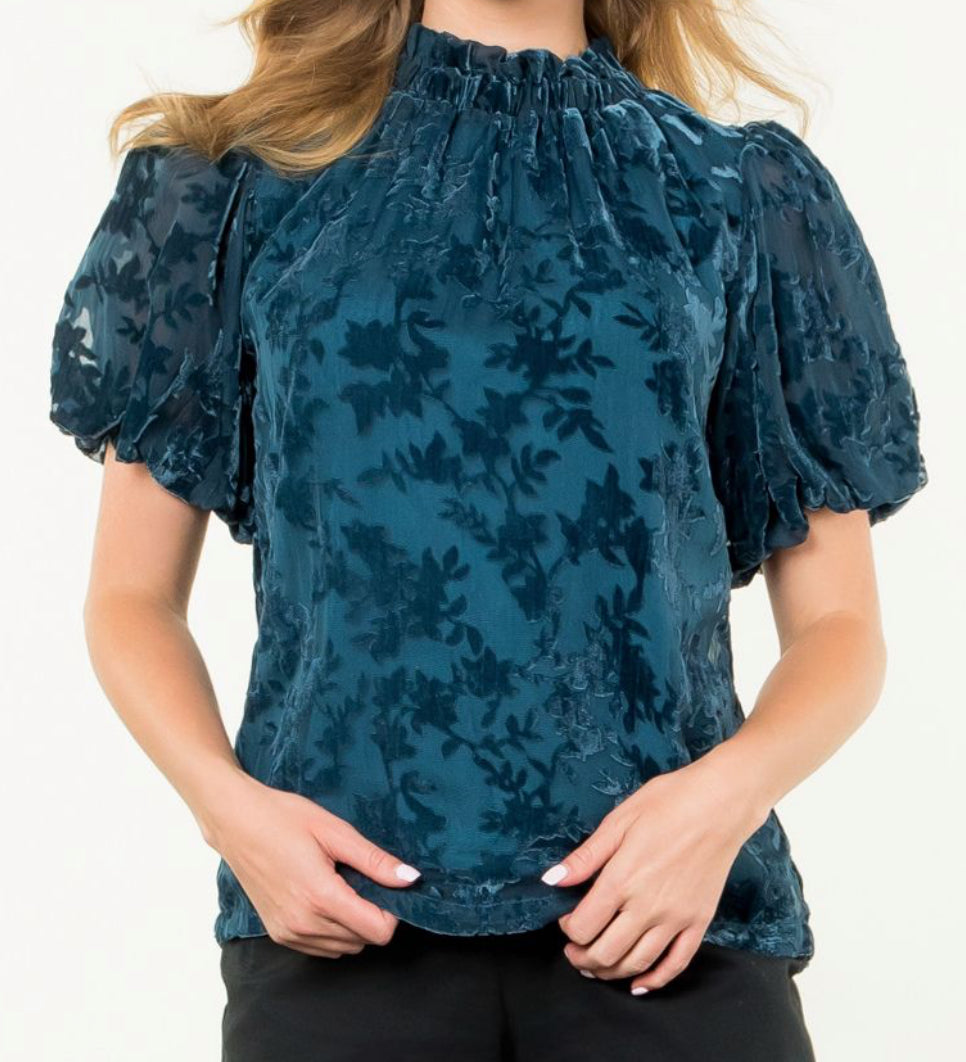 z Puff Sleeve Velvet Detail Top