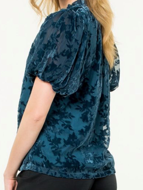z Puff Sleeve Velvet Detail Top
