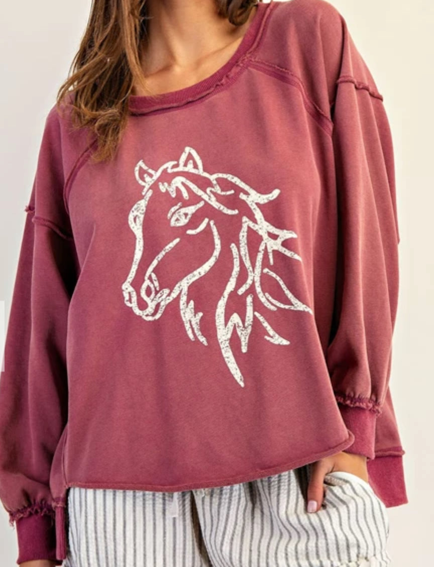 z Horse Graphic Dropped Shoulder Sweatshirt