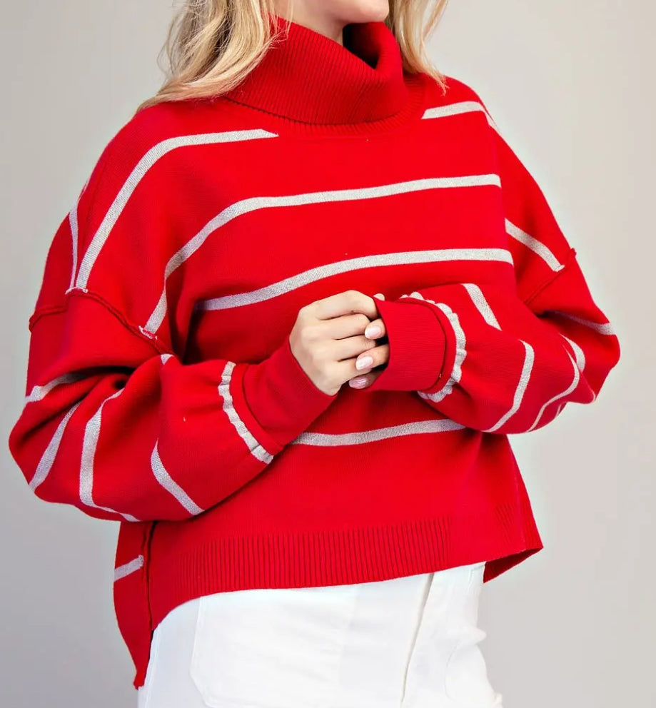 z Striped Turtle Neck Sweater