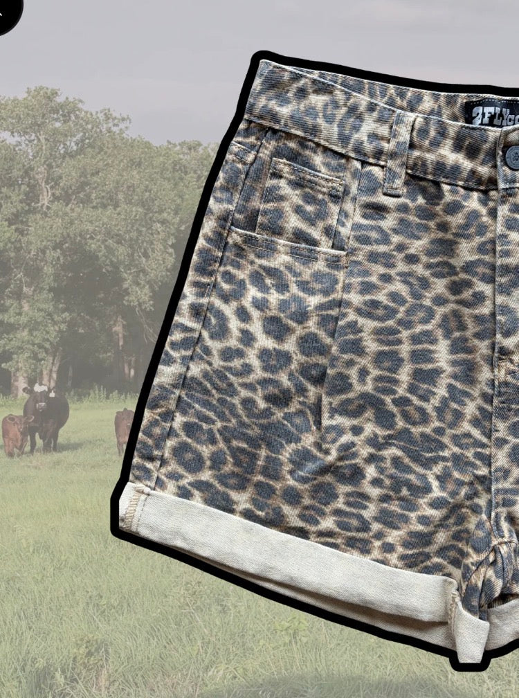 z Wildcatter Shorts