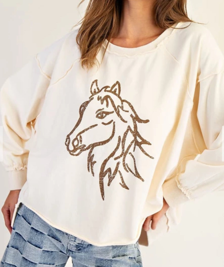 z Horse Graphic Dropped Shoulder Sweatshirt