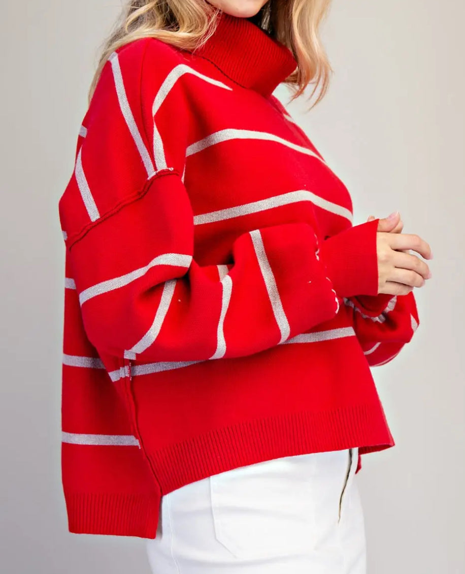 z Striped Turtle Neck Sweater