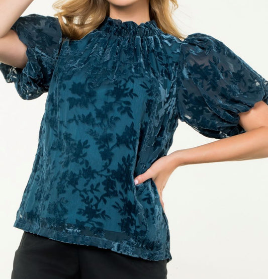 z   Puff Sleeve Velvet Detail Top