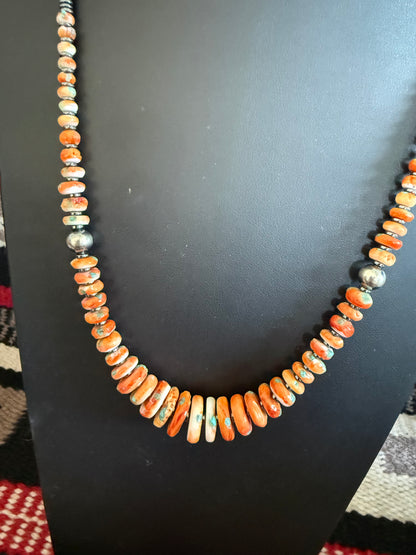 22" Orange Spiny & Turquois Graduated Necklace