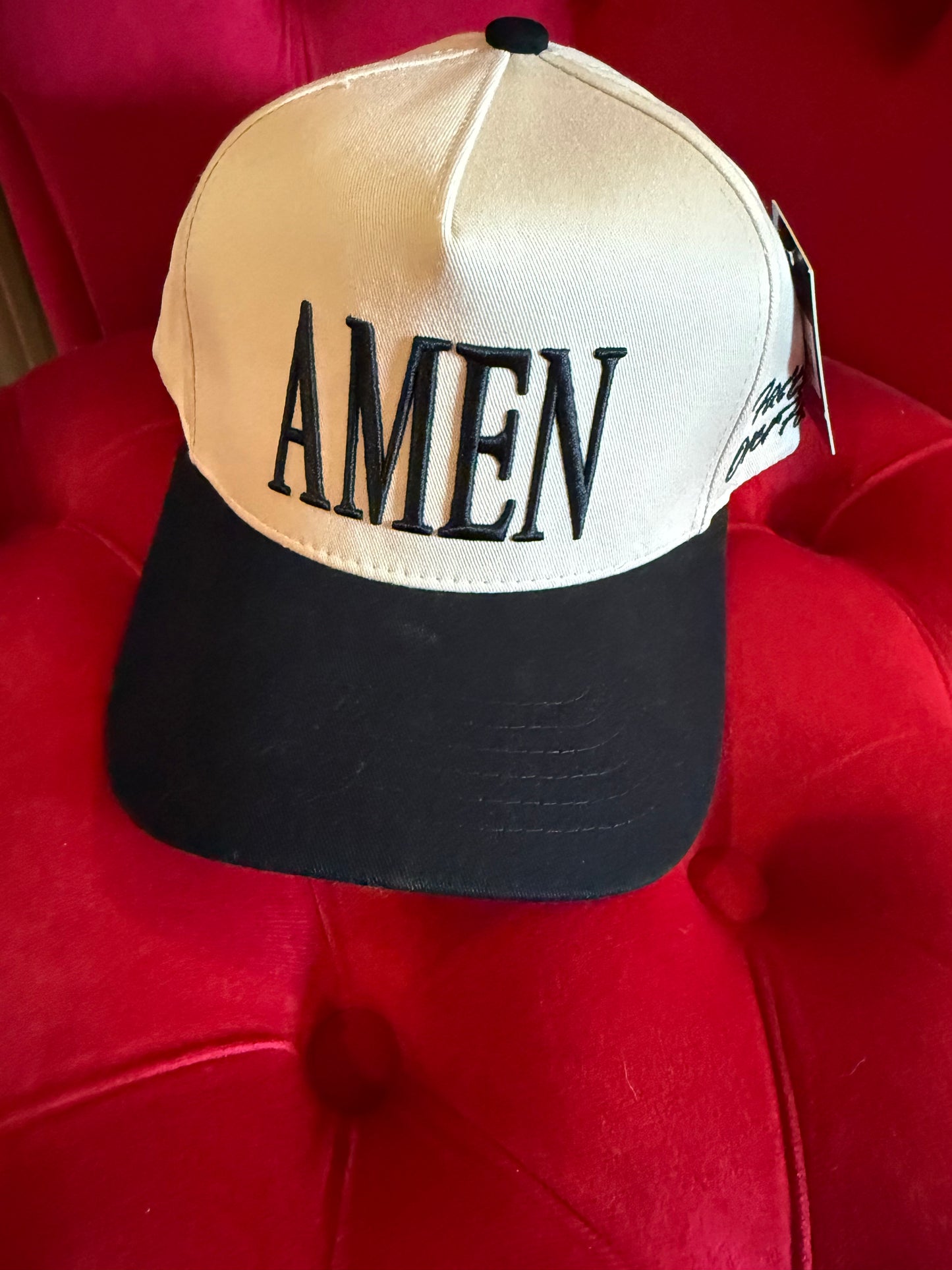 z   Two-Tone AMEN Trucker Cap back