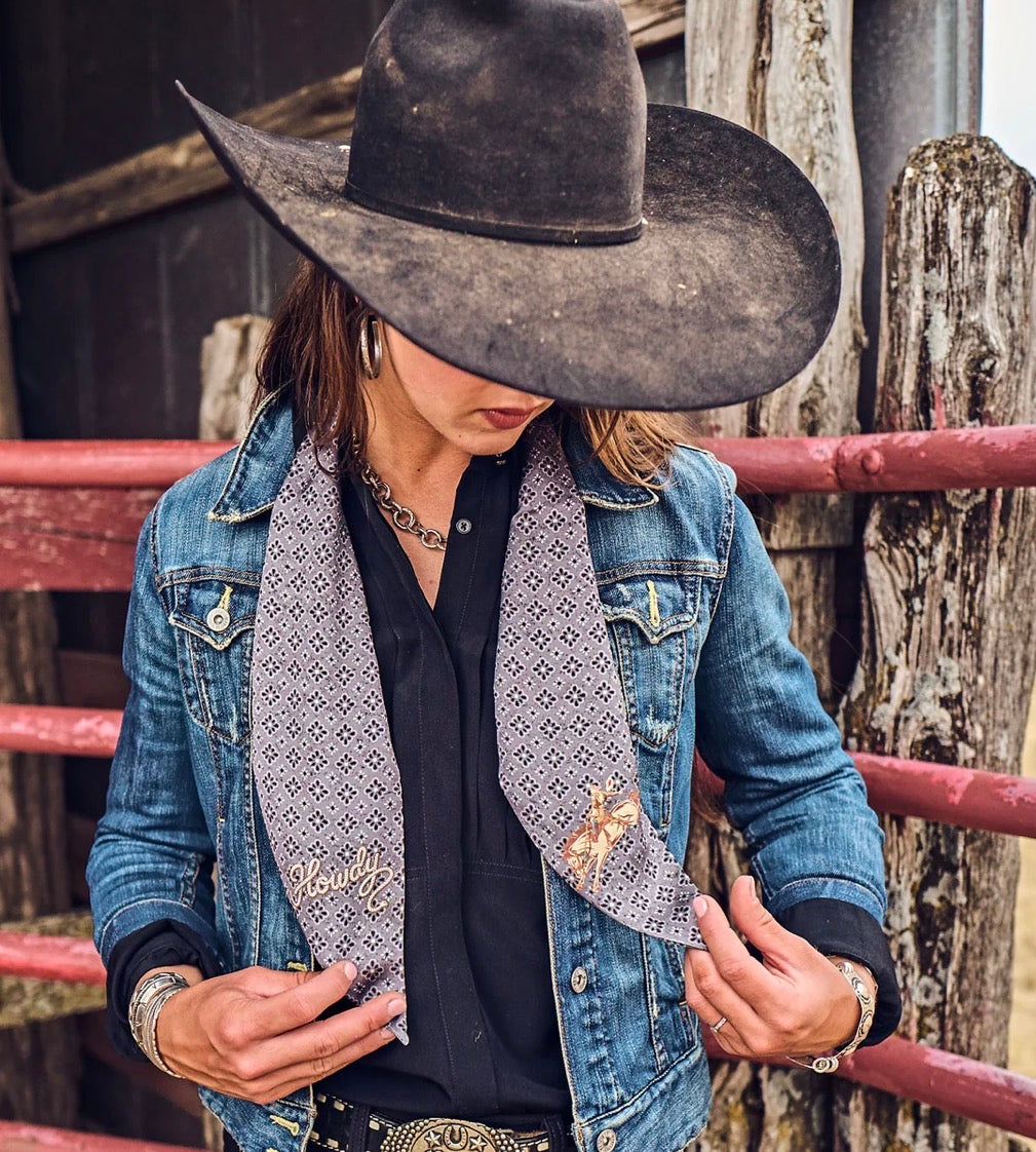 Twilly    Pony Express - Howdy